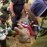 SGA Security Partners with Isuzu East Africa to Boost Secure Transport Operations