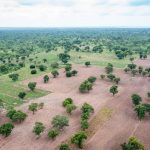 “Linda Mau, Boresha Maisha” Kenya Kicks Off Ambitious Mau Forest Restoration