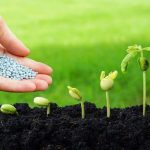 The Radical Push to Rescue Research from Academic Shelves and Get it into Farmers’ Hands