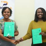 MRM and Crown Paints Join Forces: Spend KSh 550,000 on Lifestile Roofing, Get KSh 50,000 in Paint Vouchers