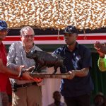 DStv Gives African Football Fans Affordable Access to Historic 104-Match FIFA World Cup